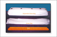 Cocopeat grow bag Manufacturer Supplier Wholesale Exporter Importer Buyer Trader Retailer in Tuticorin Tamil Nadu India